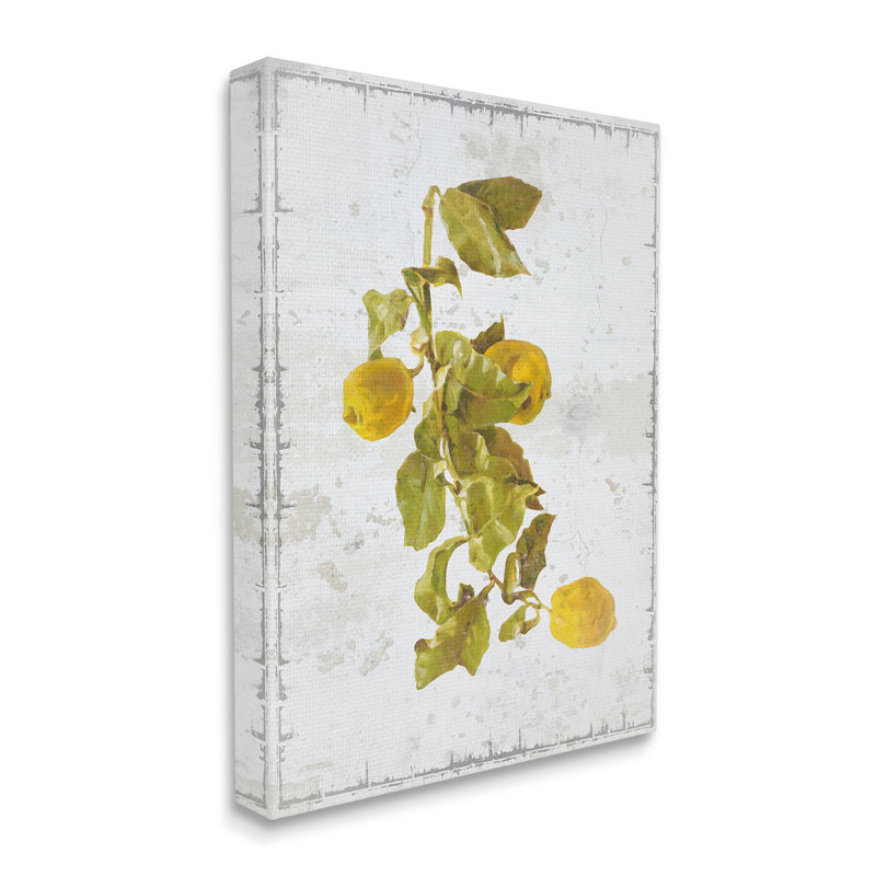 «Natural Lemon Fruits», art mural sur toile par Graffitee Studios, H 20 po x l 16 po