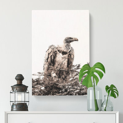 Vulture Vol.1 - Wrapped Canvas
