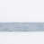 White/Light Blue HBN