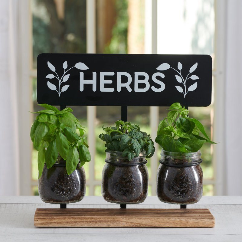 Jardin d'herbes l 11,8 po Harper
