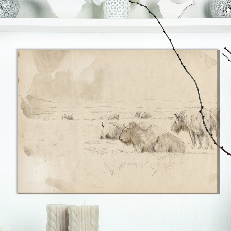 Troupeau de bisons sauvages-impression de dessin, H 20 po x l 20 po x P 1 po, Toile tendue