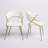 Loehr Velvet Upholstered Side Chairs-1279576366