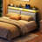 Makieh Upholstered Headborad with Charging Station and Led Lights-858833081