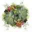 PLANT 14IN Round Succulent Arrangement, Natural Pot-80285221