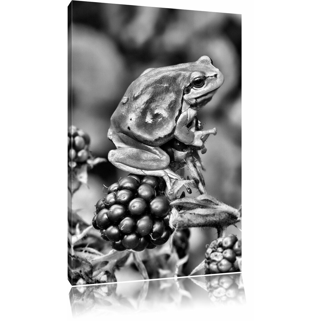 Leinwandbild Kleiner Frosch auf Brombeerstrauch in Monochrom