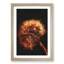 Dandelion Puff in Abstract - Picture Frame Painting Print-55491281-55491280