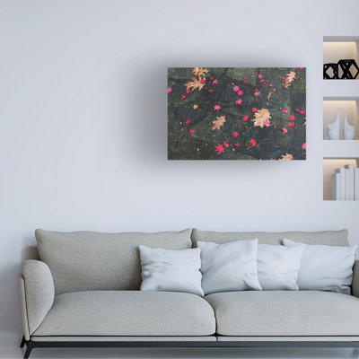 Wrapped Canvas Wall Art - Kurt Shaffer 'Autumn Japanese Maple Tree and Oak Leaf Abstract' Wall Art for Living Room, Bedroom, or Office Décor  - 16x24