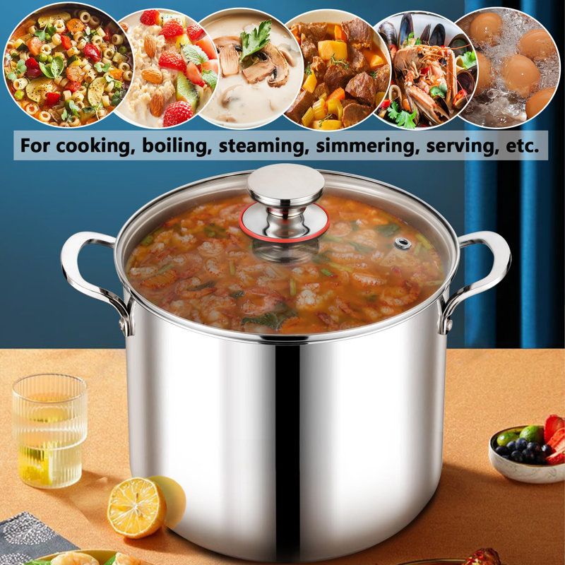 Wilmall 12 Quarts Non-Stick Stock Pot