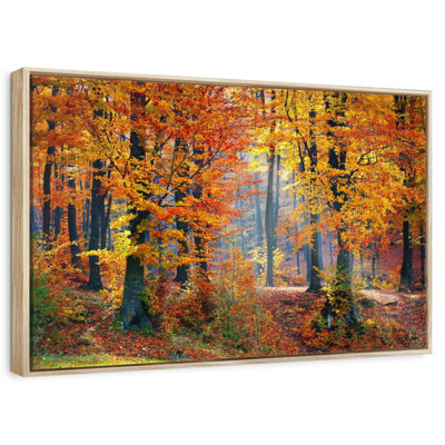 Arbres d'automne