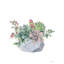 Art sur toile tendue par Red Barrel Studio® Seven Trees Design Gallery: Watercolor Succulents-60750032