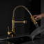 Robinet de cuisine commercial Tempting Gold