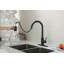 Robinet de cuisine avec douchette extractible-118388218