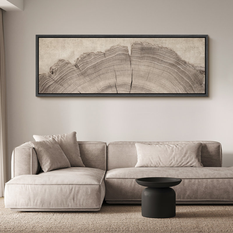 Grande impression sur toile encadrée - Anneaux d'arbre pour décoration intérieure moderne, H 20 po x l 60 po, Noir