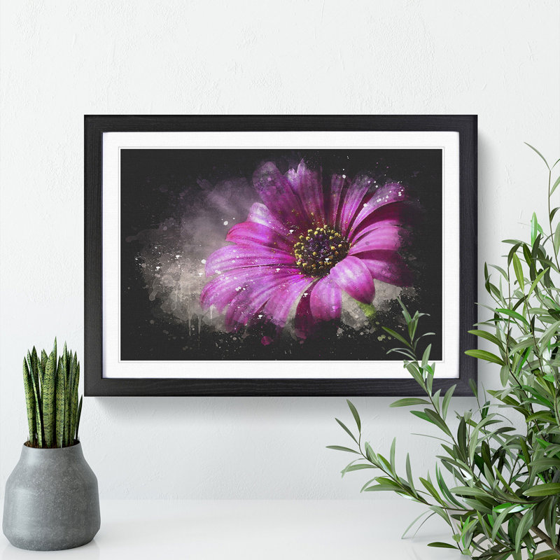 Purple Daisy - Picture Frame Graphic Art, 33cm H x 45cm W x 2cm D, Black Framed
