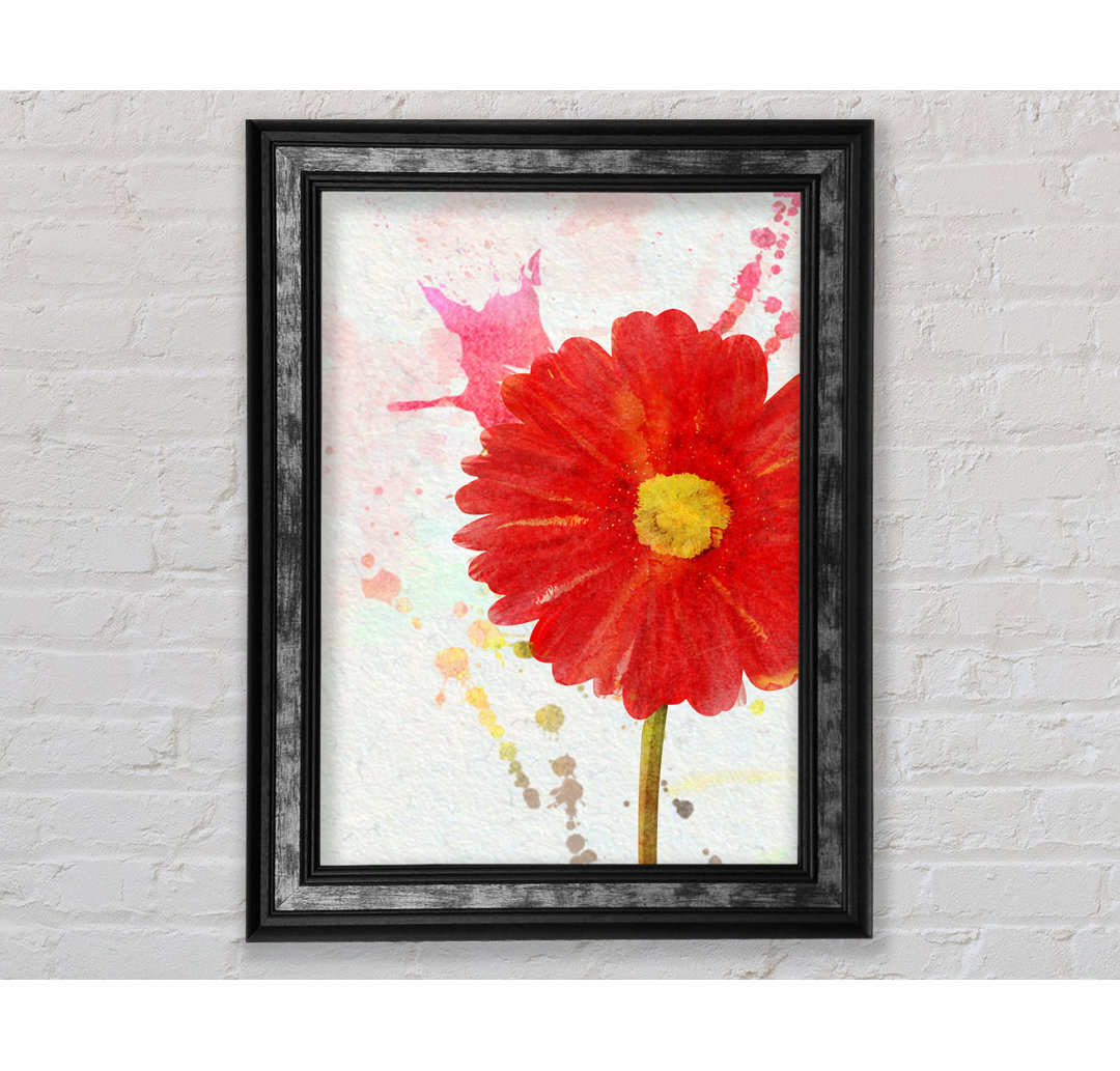 Gerbera Splash - Einzelner Bilderrahmen Kunstdrucke