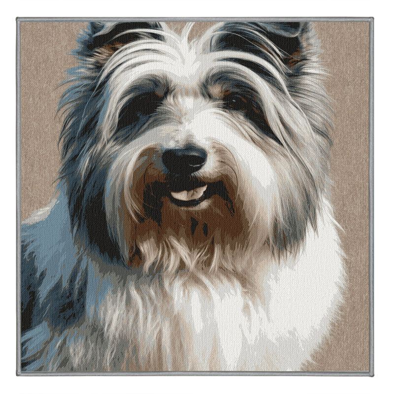  Tapis lavable pour chien de berger des plaines polonais, Tapis de couloir 2 pi x 4 pi