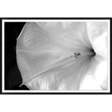 Abstracted Floral 1' Framed Photographic Print on Glass