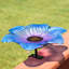 Bol pour bain d'oiseaux en verre Bayview