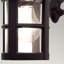Flor Matte Black 34.5cm H Outdoor Wall Lantern-11183582