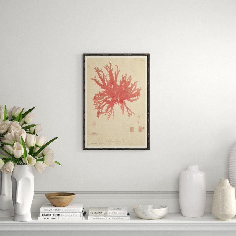 Seaweed In Pink Giclee Print by Henry Bradbury