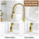 Spring Neck Standard Kitchen Faucet with Dual-Function spray head and Deck Plate