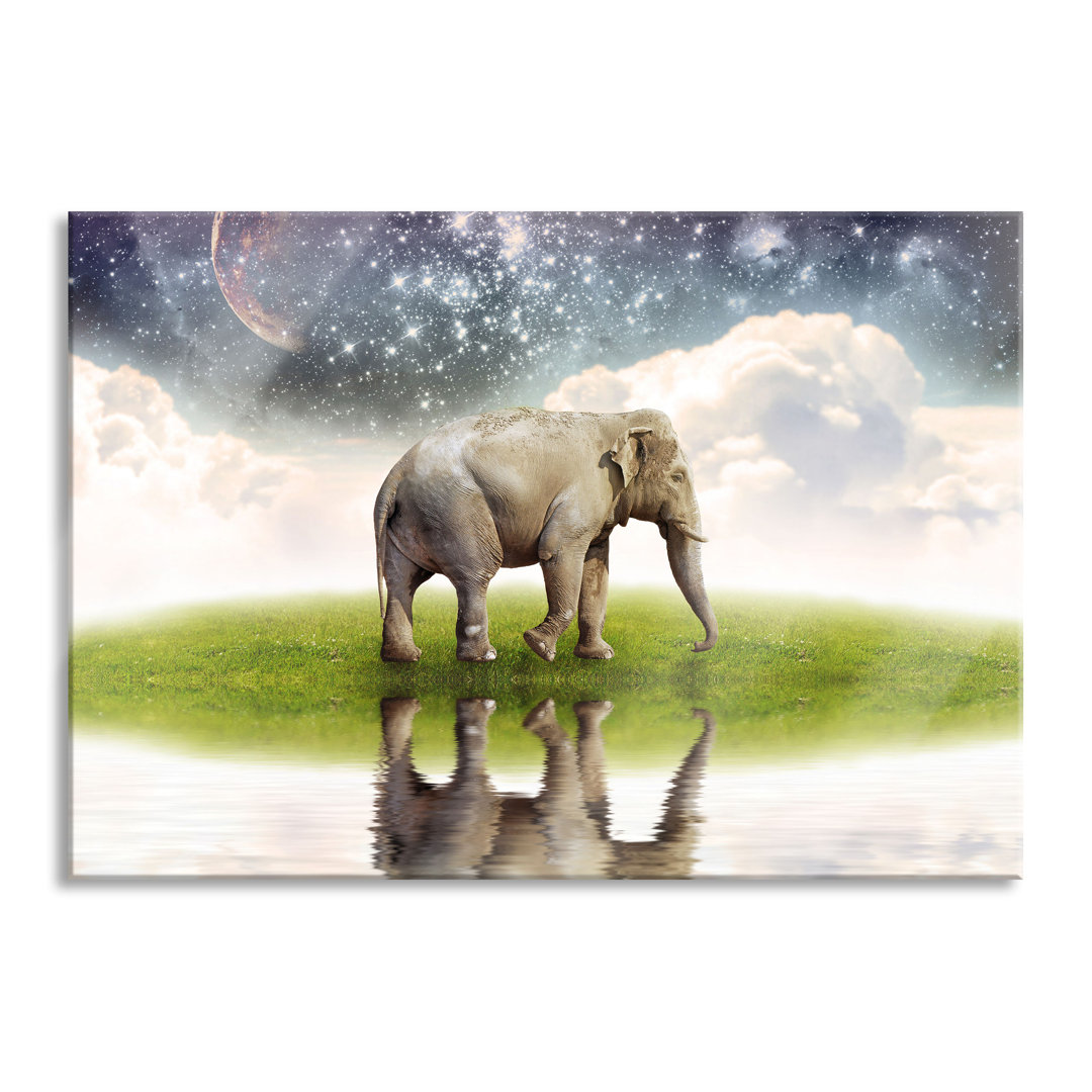 Glasbild Einsamer Elefant und Sternenhimmel