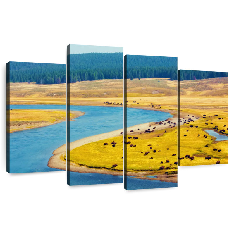 Alvord Yellowstone Bison River