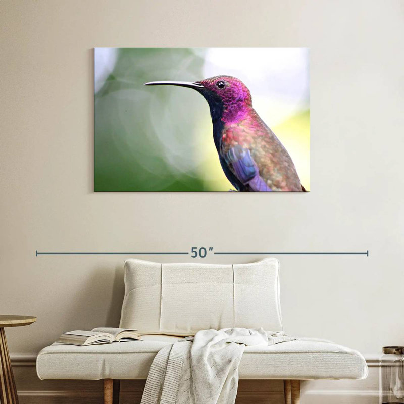 Colibri jamaïcain à la mangue, H 26 po x l 39 po
