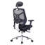 Symple Stuff Mesh Executive Chair with Headrest-45367436