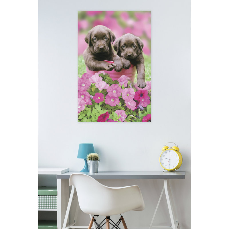 Impression sur papier kimberlin-labs
