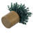 Artificial Eucalyptus Faux Plants In Pot