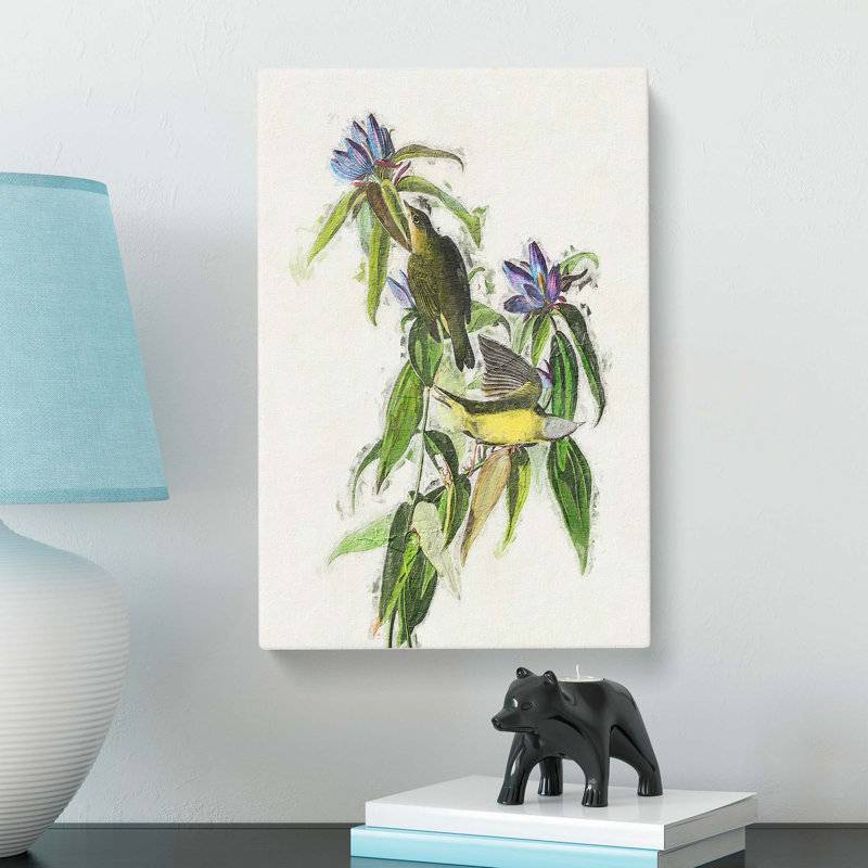 Connecticut Warbler Birds by John James Audubon - Wrapped Canvas, 76cm H x 50cm W x 3cm D