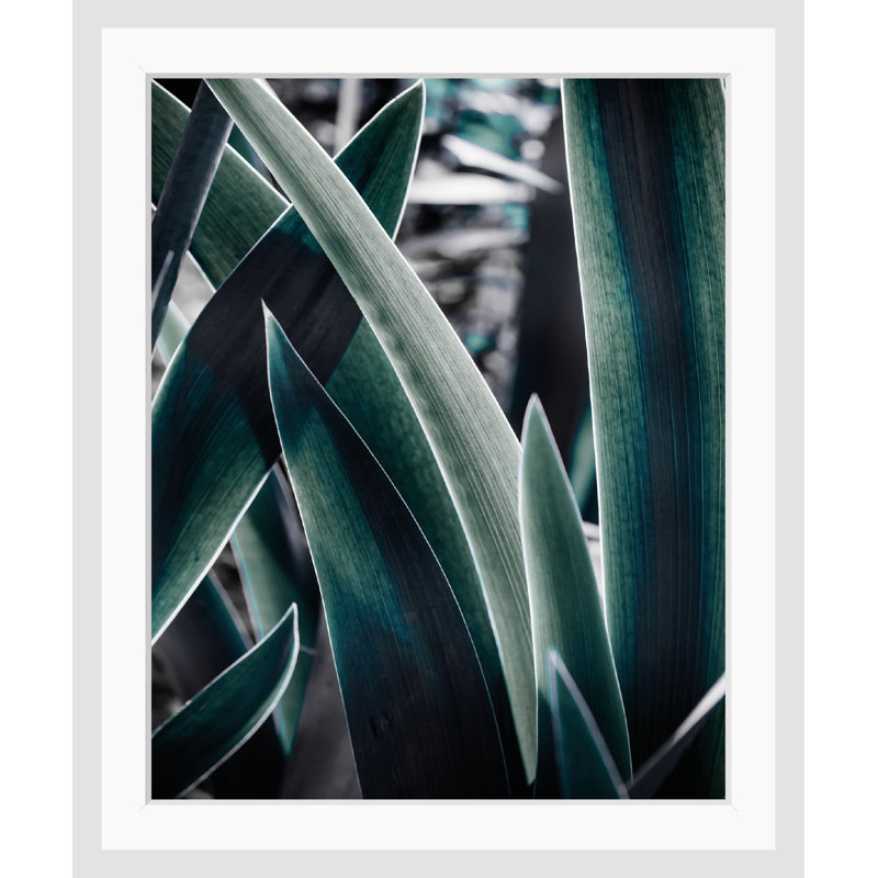 Leaves - Single Picture Frame Print