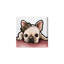 «Royal Frenchie», impression sur toile-66679246