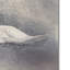 «Swan Storm» de Vidur, impression sur toile tendue-22075634