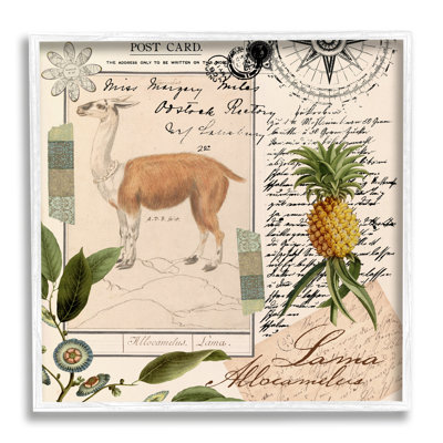 Az-327 - Reproduction de carte postale antilope rétro encadrée