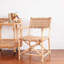 Chaise avec accoudoirs Delphia