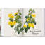 Redouté. The Book of Flowers. 45th Ed.