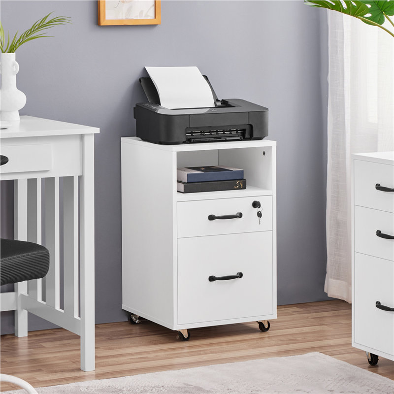 Elisbeth 16'' Wide 2 -Drawer Mobile File Cabinet, White