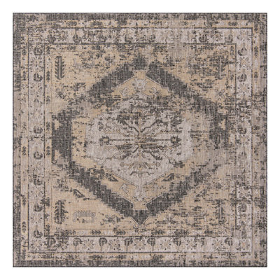 Susan Oriental Indoor / Outdoor Area Rug