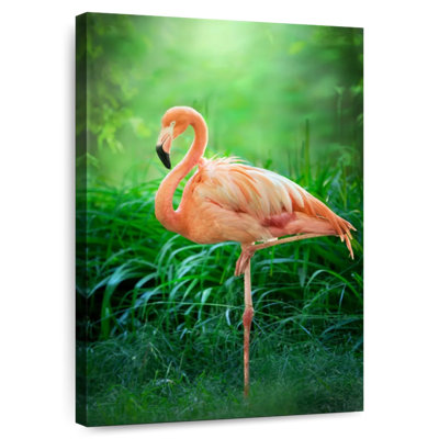 Flamant rose