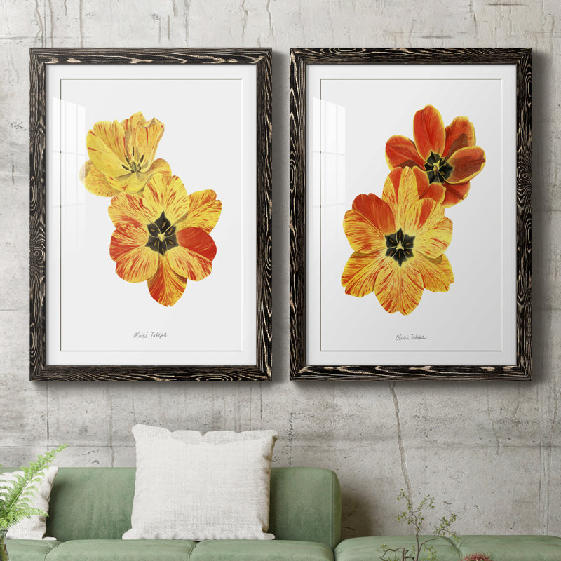 Olive's Tulips I Premium encadré mat - prêt à être accroché, Cadre noir, H 43,5 po x l 31,5 po x P 1 po