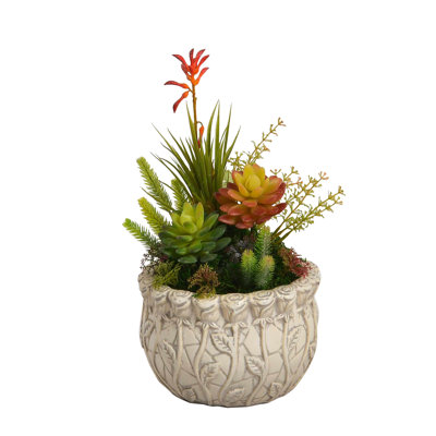 Arrangement in Pot