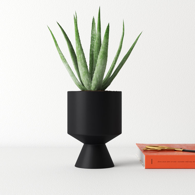 Patricia Handmade Ceramic Pot Planter, 6.25" H x 4.5" W x 4.5" D