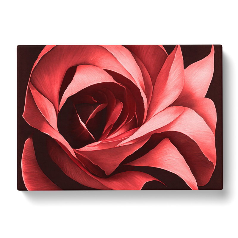 Desirable Rose Flower - Wrapped Canvas, 50cm H x 76cm W x 3cm D