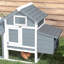 Petit poulailler en bois pour poulailler avec 2 portes, nichoir et plateau amovible-710510242