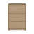 Warm Oak is out of stock