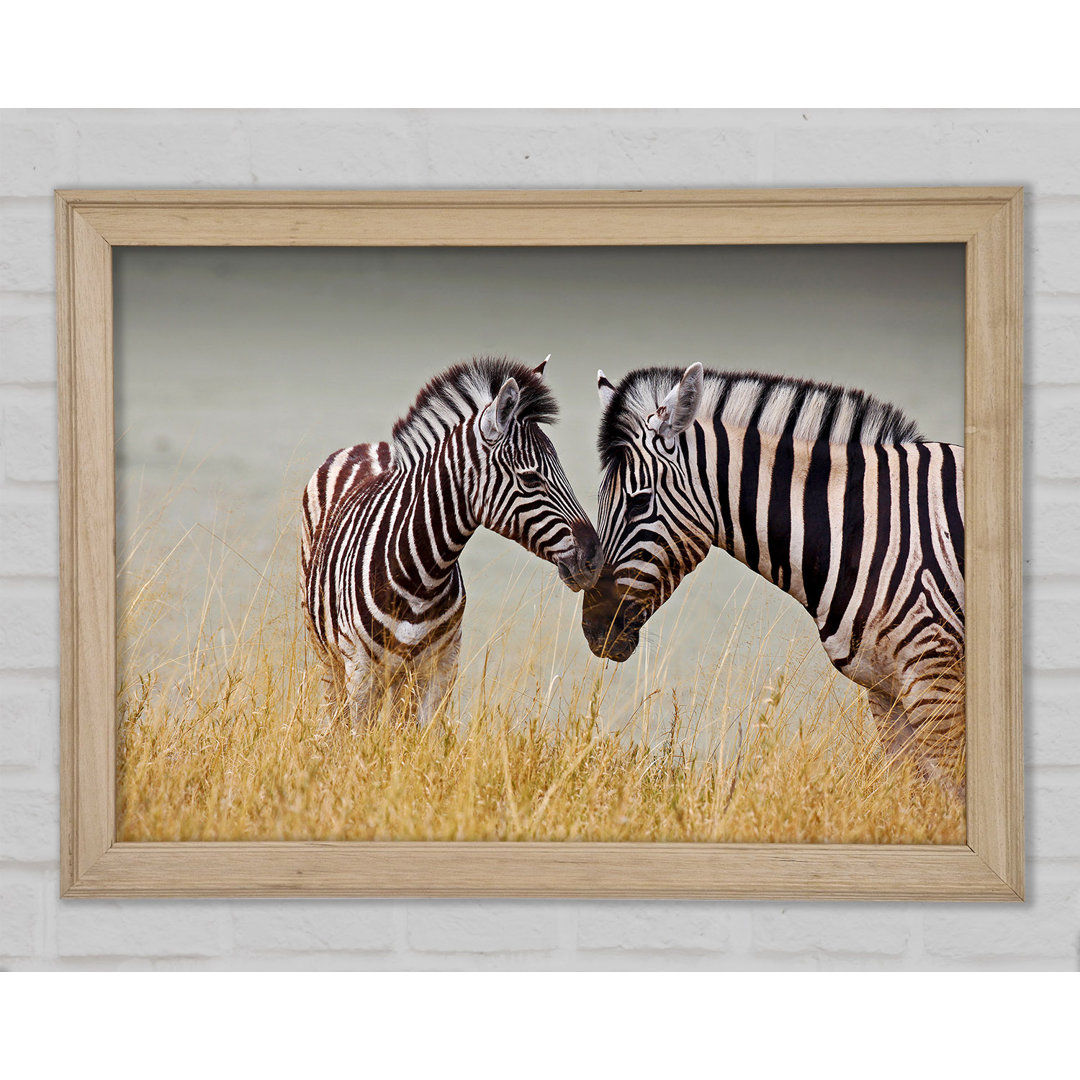 Mutter und Baby Zebra - Druck