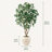 8 FT Artificial Ficus Tree With 18" White Planter