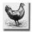 'Chicken Scratch' by Art Licensing Studio Canvas Wall Art-920487909